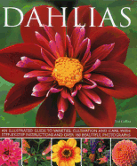 Dahlias