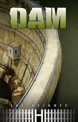 Dam - Saddleback Educational Publishing (Editor)