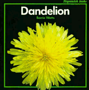 Dandelion - Watts, Barrie