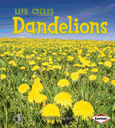 Dandelions
