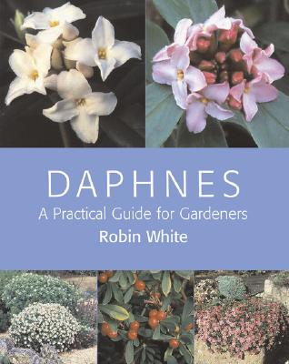 Daphnes: A Practical Guide for Gardeners - White, Robin
