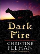 Dark Fire