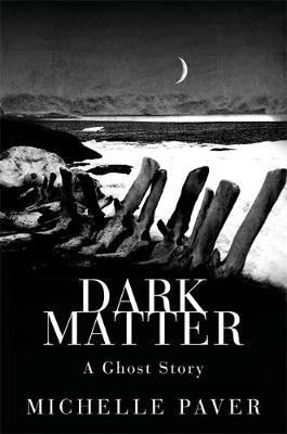 Dark Matter - Paver, Michelle
