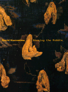 David Hammons: Rousing the Rubble