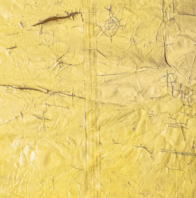David Hammons - Hammons, David (Artist)