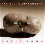 David Lang: Are You Experienced?
