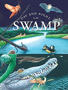 Day & Night in the Swamp