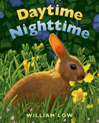 Daytime Nighttime - 