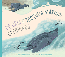 de Cr�a a Tortuga Marina: Creciendo