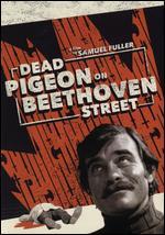 Dead Pigeon on Beethoven Street