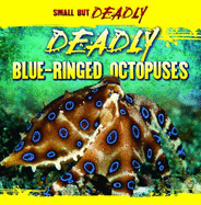 Deadly Blue-Ringed Octopuses - Allyn, Daisy