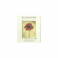 Deborah Schenck Blossoms Notecards