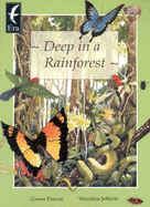 Deep in a Rainforest