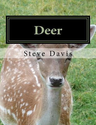 Deer: Adult Coloring Book - Davis, Steve