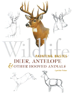 Deer, Antelope & Other Hooved Animals