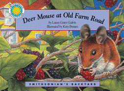 Deer Mouse at Old Farm Road