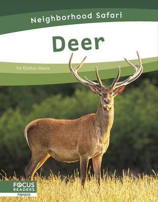 Deer - Rains, Dalton