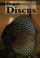 Degen Discus