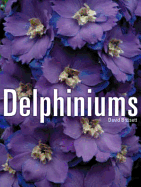 Delphiniums