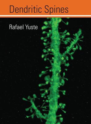 Dendritic Spines - Yuste, Rafael