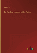 Der Wanderer Zwischen Beiden Welten