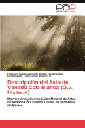 Descripcion del Asta de Venado Cola Blanca (O.V. Texanus)