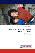 Determinants of Male Youth Crimes