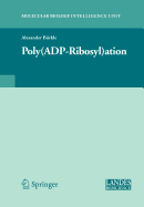 Deterministic Identification of Dynamical Systems