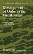 Development of order in the visual system