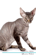 Devon Rex Affirmations Workbook Devon Rex Presents: Positive and Loving Affirmations Workbook. Includes: Mentoring Questions, Guidance, Supporting You.