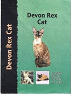 Devon Rex Cat