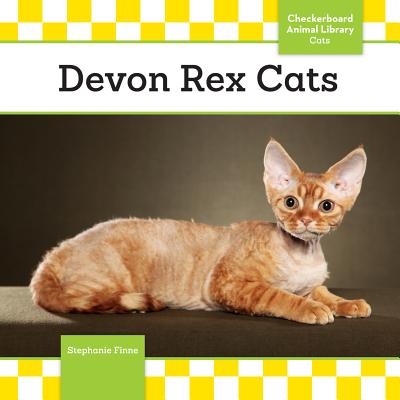 Devon Rex Cats - Finne, Stephanie