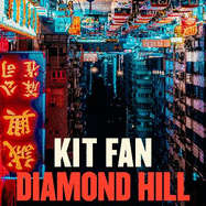 Diamond Hill: Totally unputdownable and evocative literary fiction