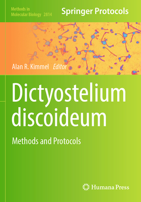Dictyostelium discoideum: Methods and Protocols - Kimmel, Alan R. (Editor)