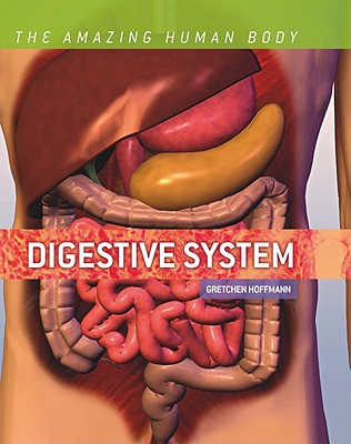 Digestive System - Hoffmann, Gretchen