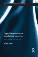 Digital Interactions in Developing Countries: An Economic Perspective
