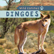 Dingoes