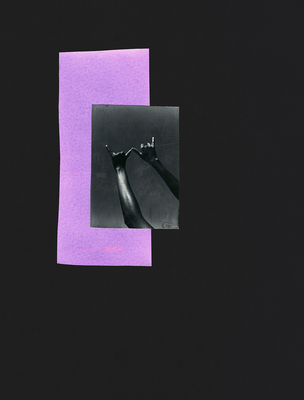 Dionne Lee: Currents - Lee, Dionne (Photographer), and Booker, Eric (Text by), and Dungy, Camille T (Text by)