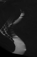 Dirty Words: Psychoanalytic Insights