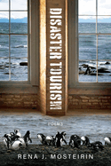 Disaster Tourism