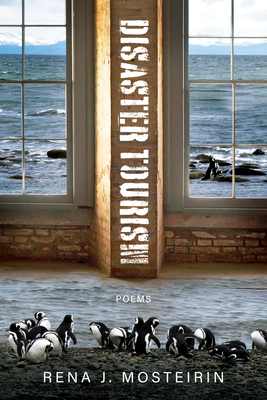 Disaster Tourism - Mosteirin, Rena J