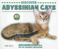 Discover Abyssinian Cats