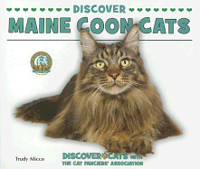 Discover Maine Coon Cats