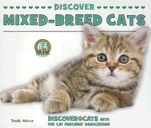 Discover Mixed-Breed Cats