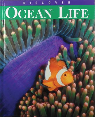 Discover Ocean Life - Jablonsky, Alice