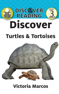 Discover Turtles & Tortoises