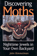 Discovering Moths: Nighttime Jewels in Your Own Backyard