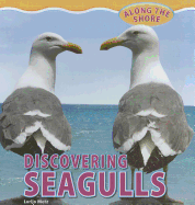 Discovering Seagulls