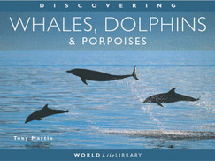 Discovering Whales, Dolphins and Porpoises