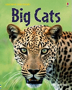 Discovery Big Cats